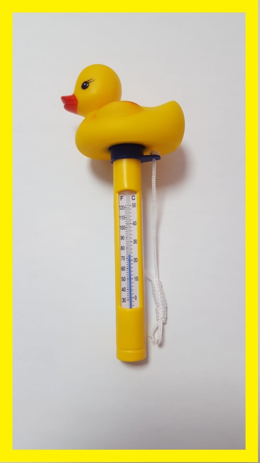 Pool Thermometer Ente