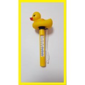 Pool Thermometer Ente